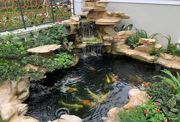 Hồ Koi Mini Đẹp Ngoài Trời