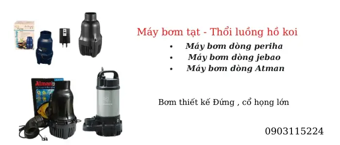 Đặc Điểm Nhận Dạng Dòng Bơm Tạt