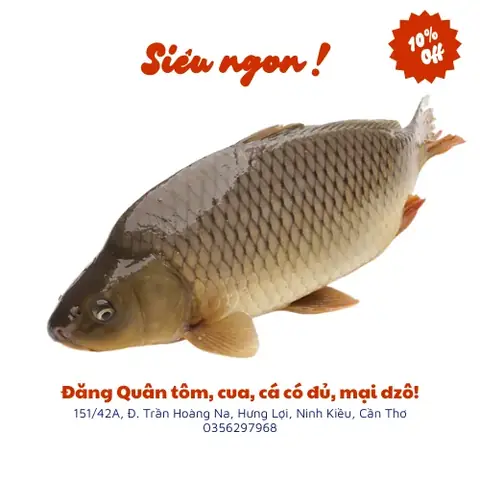 Cá Chép Giòn - Vựa Cua Đăng Quân