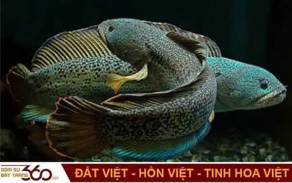 Nằm Mơ Thấy Cá Lóc Đánh Lô Đề Con Gì Để Trúng Lớn?