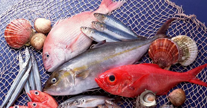 Những Loại Cá Cực Tốt Cho Sức Khỏe, Giúp Chống Cả Ung Thư | Báo ...