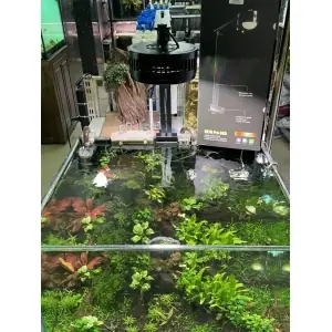 Shaquarium.com Chuyên Phụ Kiện Cho Bể Thủy Sinh Và Cá Cảnh ...