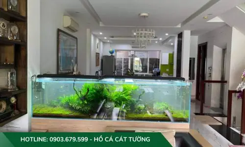 Mẫu Hồ Cả Thủy Sinh Do Công Ty Cát Tường Thiết Kế Và Thi Công Mẫu Hồ Cả Thủy Sinh Do Công Ty Cát Tường Thiết Kế Và Thi Công