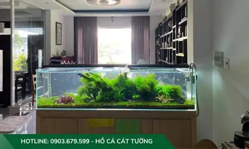 Mẫu Hồ Cả Thủy Sinh Do Công Ty Cát Tường Thiết Kế Và Thi Công Mẫu Hồ Cả Thủy Sinh Do Công Ty Cát Tường Thiết Kế Và Thi Công