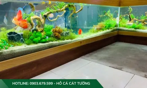 Mẫu Hồ Cả Thủy Sinh Do Công Ty Cát Tường Thiết Kế Và Thi Công Mẫu Hồ Cả Thủy Sinh Do Công Ty Cát Tường Thiết Kế Và Thi Công