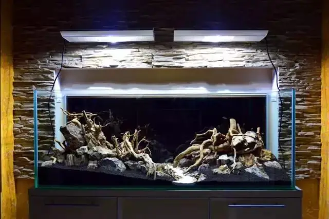 Các Mẫu Hồ Thủy Sinh Do Nghệ Nhân Nhật Bản Thực Hiện Các Mẫu Hồ Thủy Sinh Do Nghệ Nhân Nhật Bản Thực Hiện