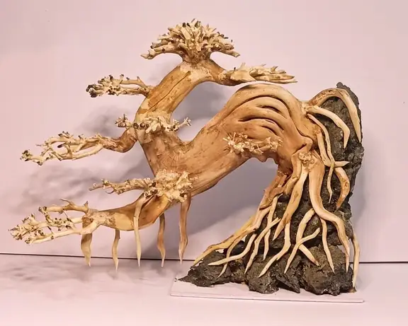 Bước 3: Xếp Gỗ Lũa, Đá, Cây Thủy Sinh Vào Hồ Sau Khi Lót Phân Nền Bước 3: Xếp Gỗ Lũa, Đá, Cây Thủy Sinh Vào Hồ Sau Khi Lót Phân Nền