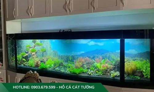 Mẫu Hồ Cả Thủy Sinh Do Công Ty Cát Tường Thiết Kế Và Thi Công Mẫu Hồ Cả Thủy Sinh Do Công Ty Cát Tường Thiết Kế Và Thi Công