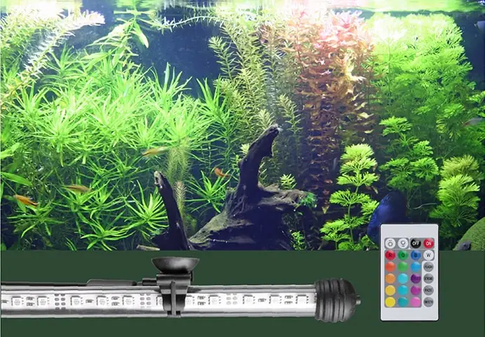 Bước 5: Setup Hệ Thống Đèn Chiếu Sáng Sau Khi Hồ Đã Có Nước Bước 5: Setup Hệ Thống Đèn Chiếu Sáng Sau Khi Hồ Đã Có Nước