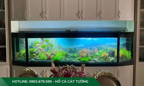 Mẫu Hồ Cả Thủy Sinh Do Công Ty Cát Tường Thiết Kế Và Thi Công Mẫu Hồ Cả Thủy Sinh Do Công Ty Cát Tường Thiết Kế Và Thi Công