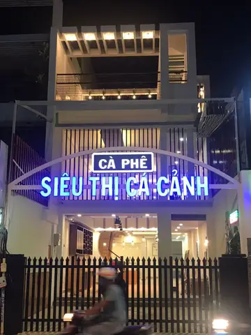 Cafe – Siêu Thị Cá Cảnh – Mô Hình Kinh Doanh Độc Đáo