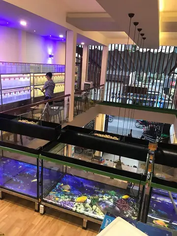 Cafe – Siêu Thị Cá Cảnh – Mô Hình Kinh Doanh Độc Đáo