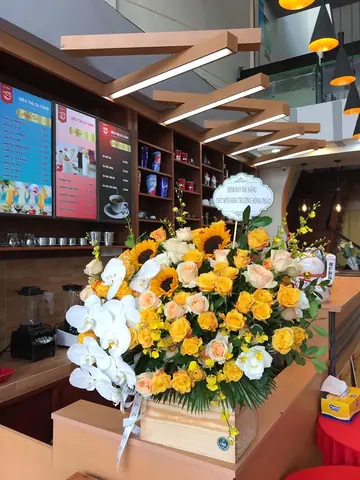 Cafe – Siêu Thị Cá Cảnh – Mô Hình Kinh Doanh Độc Đáo