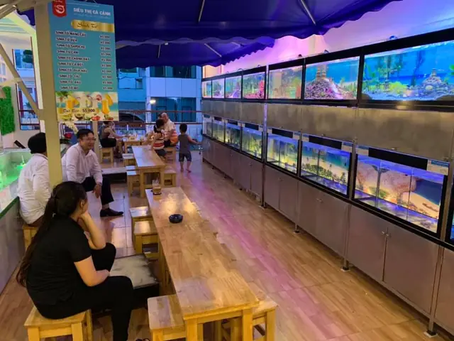 Cafe – Siêu Thị Cá Cảnh – Mô Hình Kinh Doanh Độc Đáo