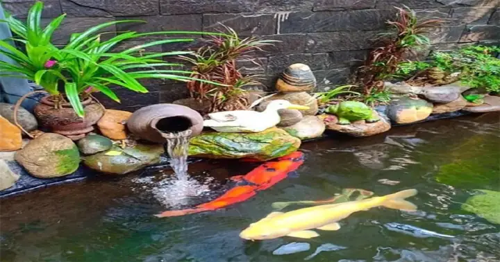 Thác Nước Hồ Koi Ảnh Hưởng Đến Phong Thủy Như Thế ...