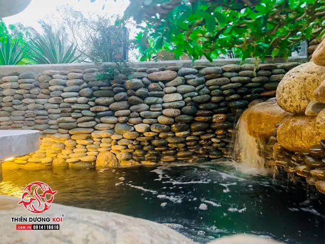 Thi Công Hồ Cá Koi Tinh Tế Với Đá Cuội Và Cây Xanh