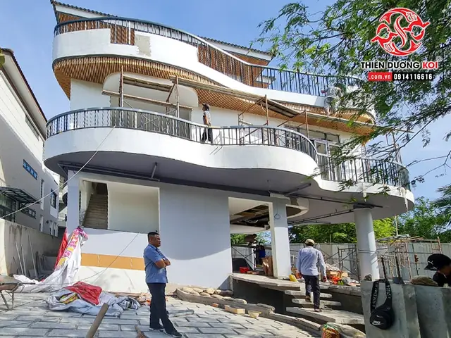 Thi Công Hồ Cá Koi Tinh Tế Với Đá Cuội Và Cây Xanh