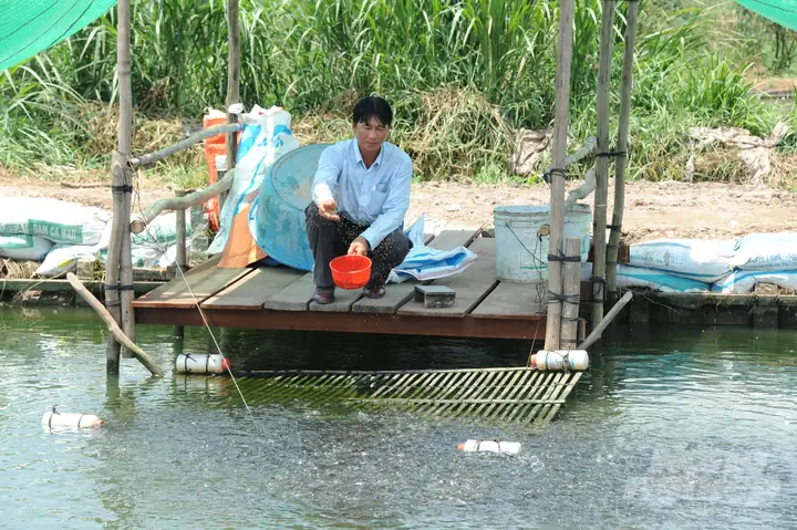 Thả Hơn 1 Triệu Cá Giống Bản Địa Xuống Sông Hậu Tái Tạo Thủy Sản