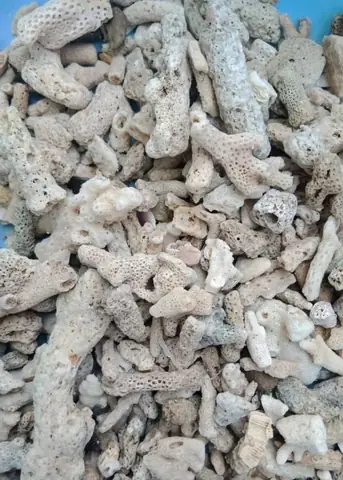 4/ Thiết Bị Lọc Nước Hồ Cá Koi 4/ Thiết Bị Lọc Nước Hồ Cá Koi