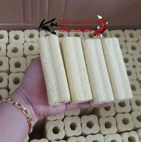 4/ Thiết Bị Lọc Nước Hồ Cá Koi 4/ Thiết Bị Lọc Nước Hồ Cá Koi