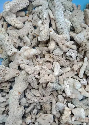 4/ Thiết Bị Lọc Nước Hồ Cá Koi 4/ Thiết Bị Lọc Nước Hồ Cá Koi