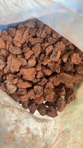 4/ Thiết Bị Lọc Nước Hồ Cá Koi 4/ Thiết Bị Lọc Nước Hồ Cá Koi