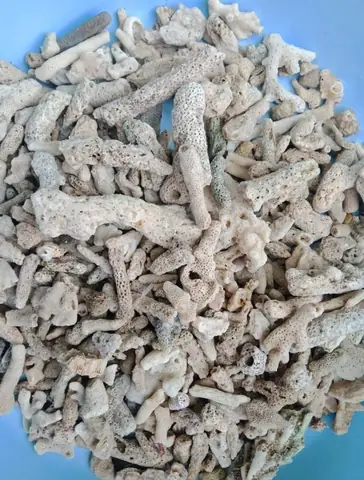 4/ Thiết Bị Lọc Nước Hồ Cá Koi 4/ Thiết Bị Lọc Nước Hồ Cá Koi