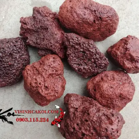 4/ Thiết Bị Lọc Nước Hồ Cá Koi 4/ Thiết Bị Lọc Nước Hồ Cá Koi