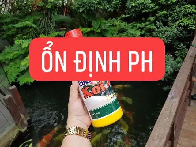 10/ Vi Sinh Sử Lý Nước Hồ Cá Koi 10/ Vi Sinh Sử Lý Nước Hồ Cá Koi