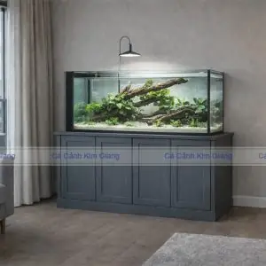 Thiết Kế Bể Cá Cảnh & Bể Thủy Sinh Đẹp Giá Rẻ Tại Hà Nội