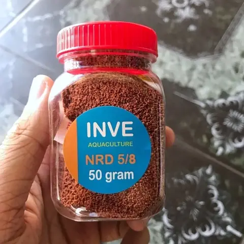 Cám Thái Inve Cám Thái Inve