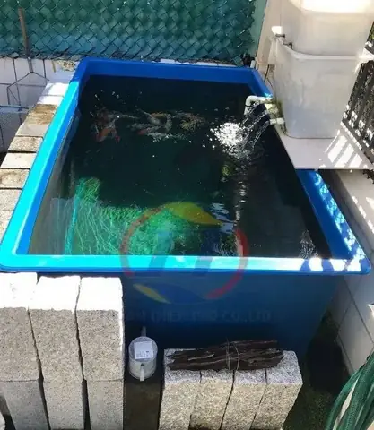 Thùng Nhựa Nuôi Cá Bán Ở Đâu?