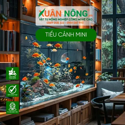 Những Lợi Ích Khi Sở Hữu Tiểu Cảnh Mini Nuôi Cá Thủy Sinh?