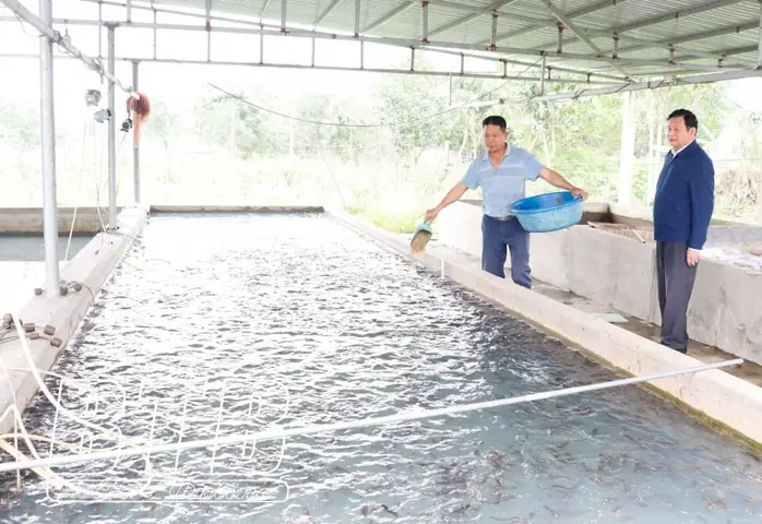 Biến Ruộng Bỏ Hoang Thành Trang Trại Nuôi Cá Giống, Nuôi Hươu, Anh ...