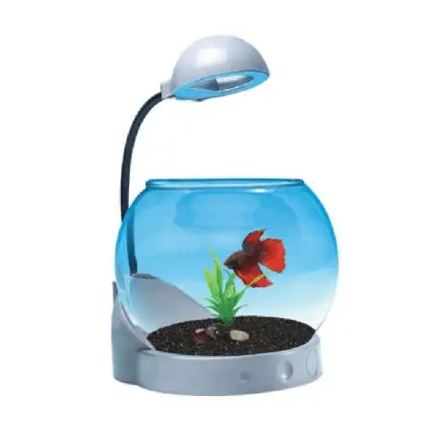 Bể Cá Mini Dạng Tròn Siêu Dễ Thương Jeneca Tg-01