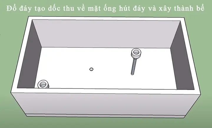 Bước 2: Xây Thành Bể Và Đổ Đáy