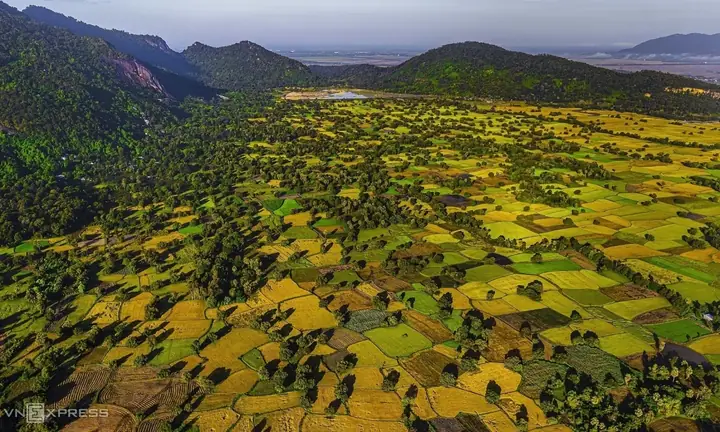Đúng, Đây Là Tượng Đài Cá Basa - Báo Vnexpress