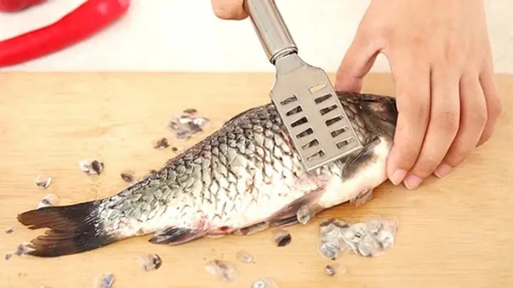 Đánh Vảy Tiếng Anh Là Gì