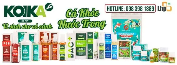 Bổ Sung Vi Sinh Cho Bể Cá Cảnh & Những Thắc Mắc, Sai Lầm Thường Gặp