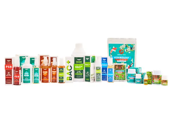 Men Vi Sinh Cho Bể Cá, Vi Sinh Làm Trong Nước Hồ Cá