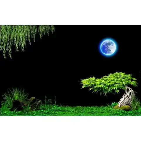 Những Điều Cần Tránh Khi Bảo Quản Tranh 3d