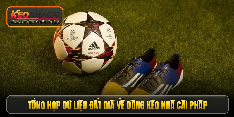 Tổng hợp dữ liệu đắt giá về dòng kèo nhà cái Pháp