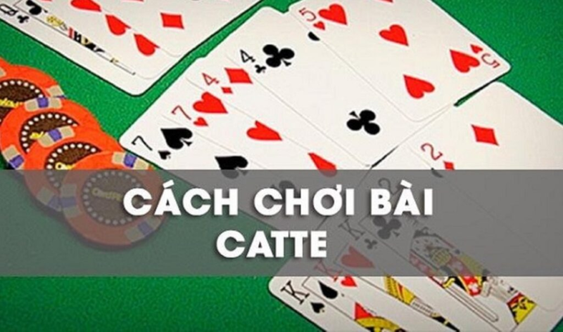 Luật Chơi Bài Catte Cơ Bản
