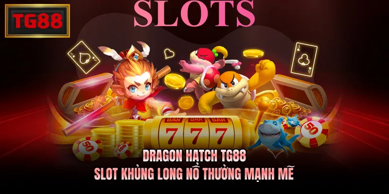 Kinh nghiệm tham gia – Quan sát vòng quay và giữ nhịp chơi hợp lý